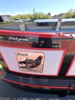 Black Grouse – 44ft Traditional Stern