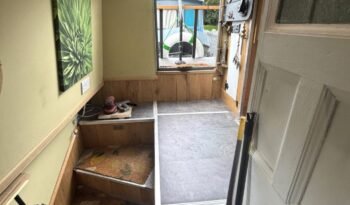 IMG_4562